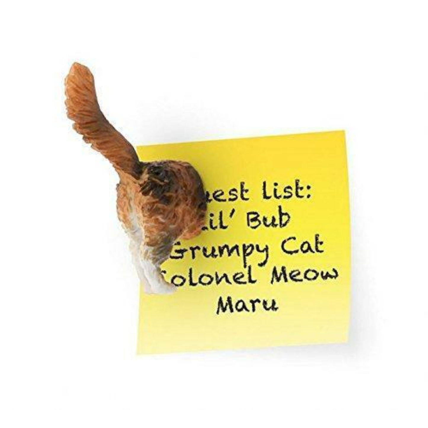 MAGNETI CODA DI GATTO - KIKKERLAND