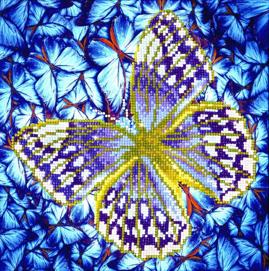 Diamonddotz - Farfalla blu