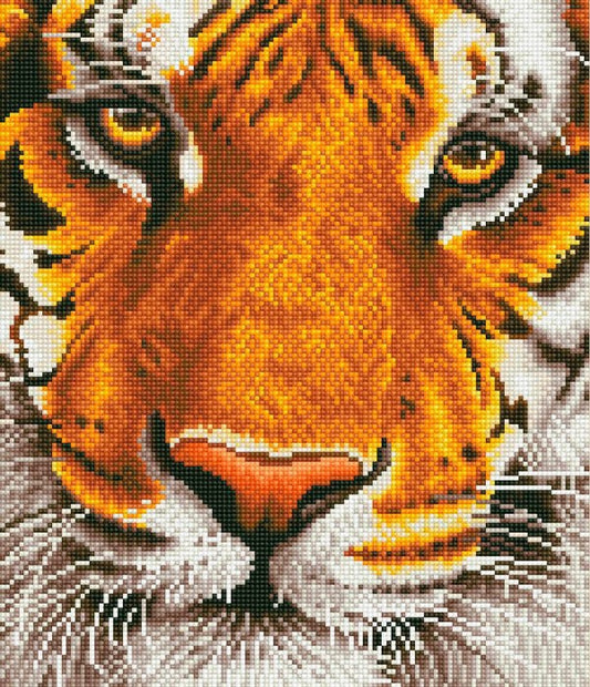 Diamond Dotz - TIGRE DEL BENGALA